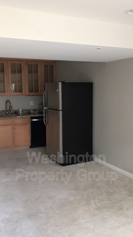 706 Rollins Ave Basement - Thumbnail 3